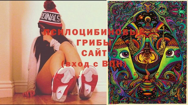 прущая мука Медногорск