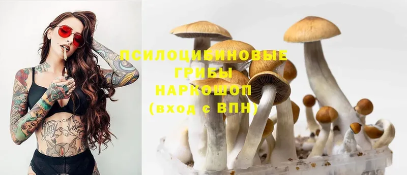 Псилоцибиновые грибы Magic Shrooms  где найти   Галич 